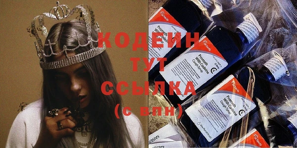 прущие грибы Абинск