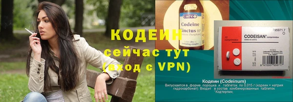 прущие грибы Абинск