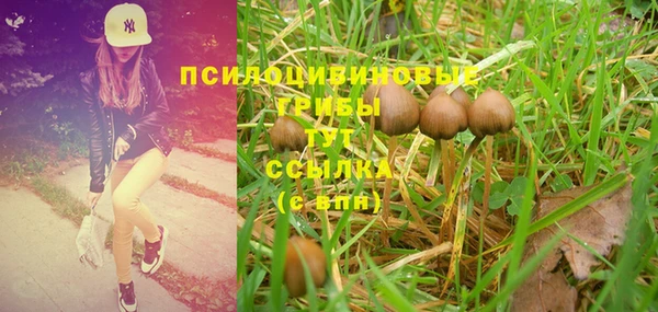 PSILOCYBIN Абдулино