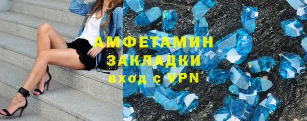 прущие грибы Абинск