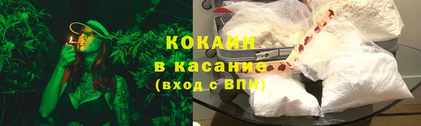 ПСИЛОЦИБИНОВЫЕ ГРИБЫ Алзамай