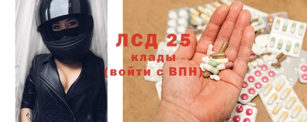 прущие грибы Абинск