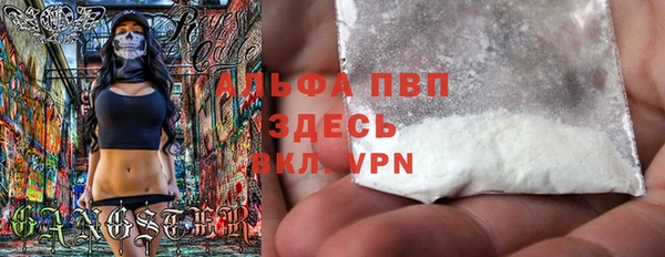 прущие грибы Абинск