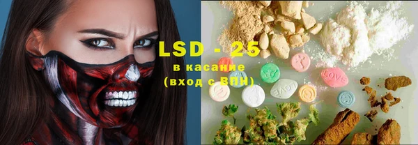 ПСИЛОЦИБИНОВЫЕ ГРИБЫ Алзамай