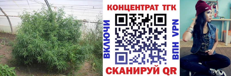 ТГК вейп Духовщина